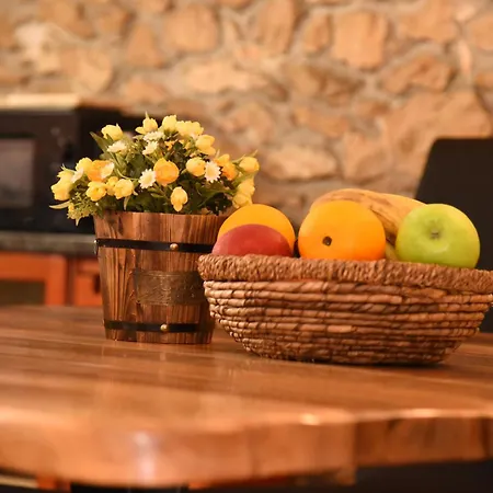 House Justina Villa Zadar