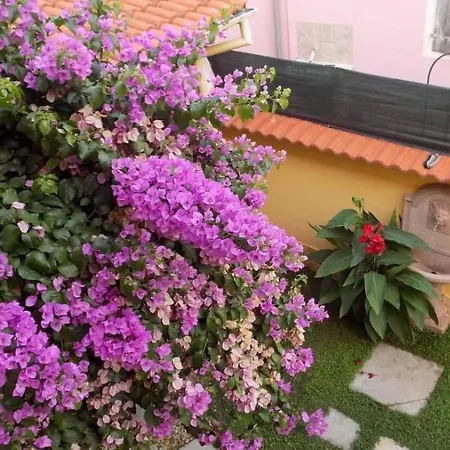 House Justina 빌라 *